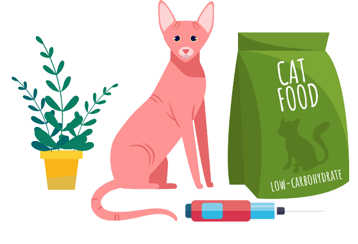 Best Cat Food for Diabetic Cats 2020