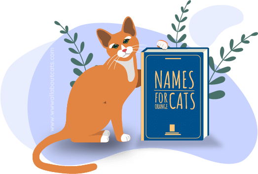 165 Orange Cat Names Male Female Unisex Names We Re All