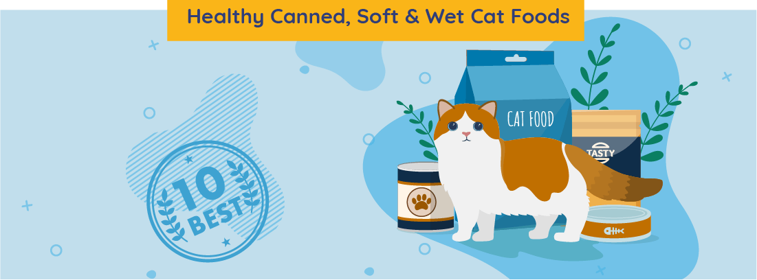 10 Best Healthy Canned Soft Wet Cat Food 2020 Unbiased Review